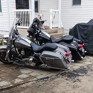 Meet your Posher, Bill